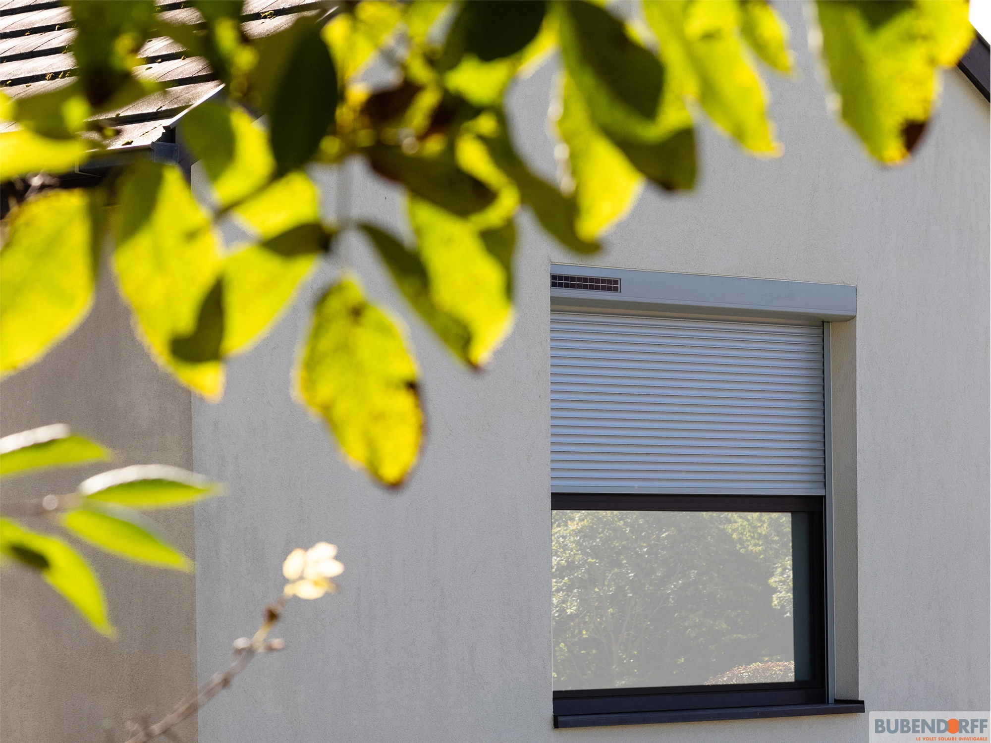 visuel bubendorff mono solaire 1