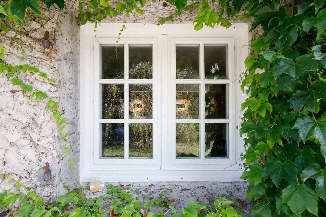 Fenêtre en bois blanche à petits carreaux sur une façade en pierre et crépi, encadrée de végétation à Pau