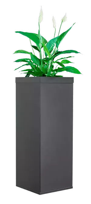 Borne anti-moustique extérieure design, couleur gris anthracite, pour piège à moustiques ou solution anti-nuisance.