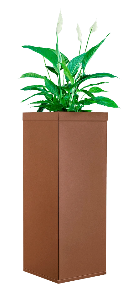Borne anti-moustique professionnelle aspect Corten (rouille), design et utilisée comme pot de fleur sur une terrasse