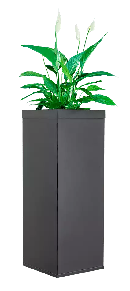 Borne anti-moustique professionnelle, design et verticale, couleur anthracite, utilisée comme pot de fleur sur une terrasse.